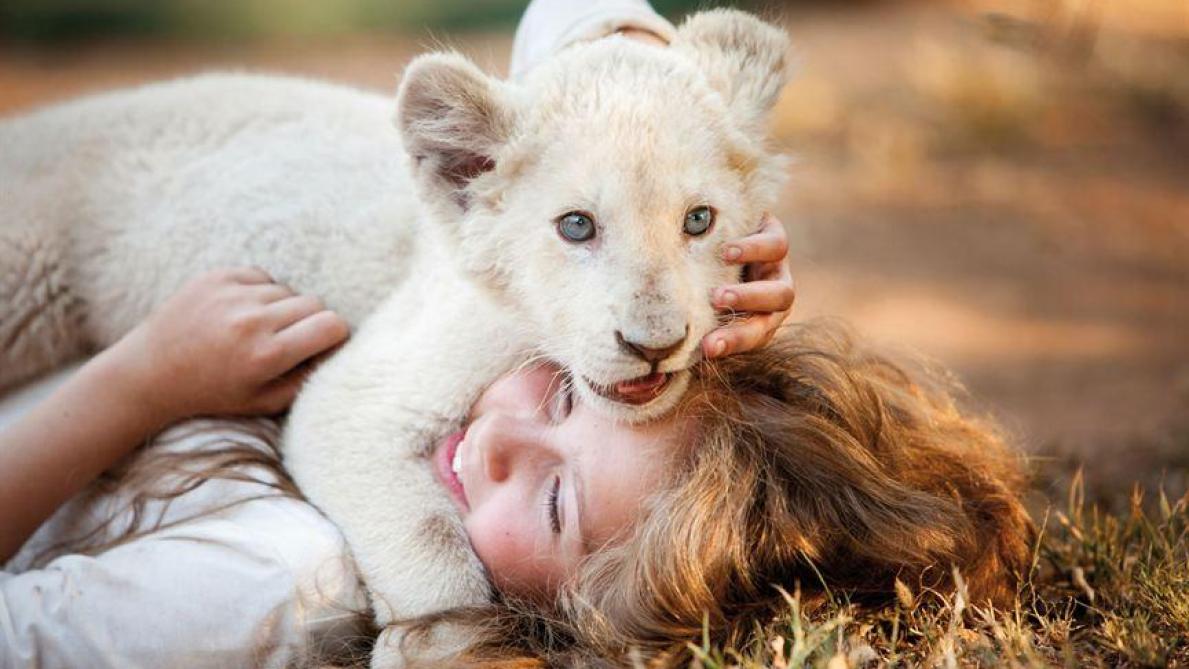 Résultat de recherche d'images pour "mia et le lion blanc"