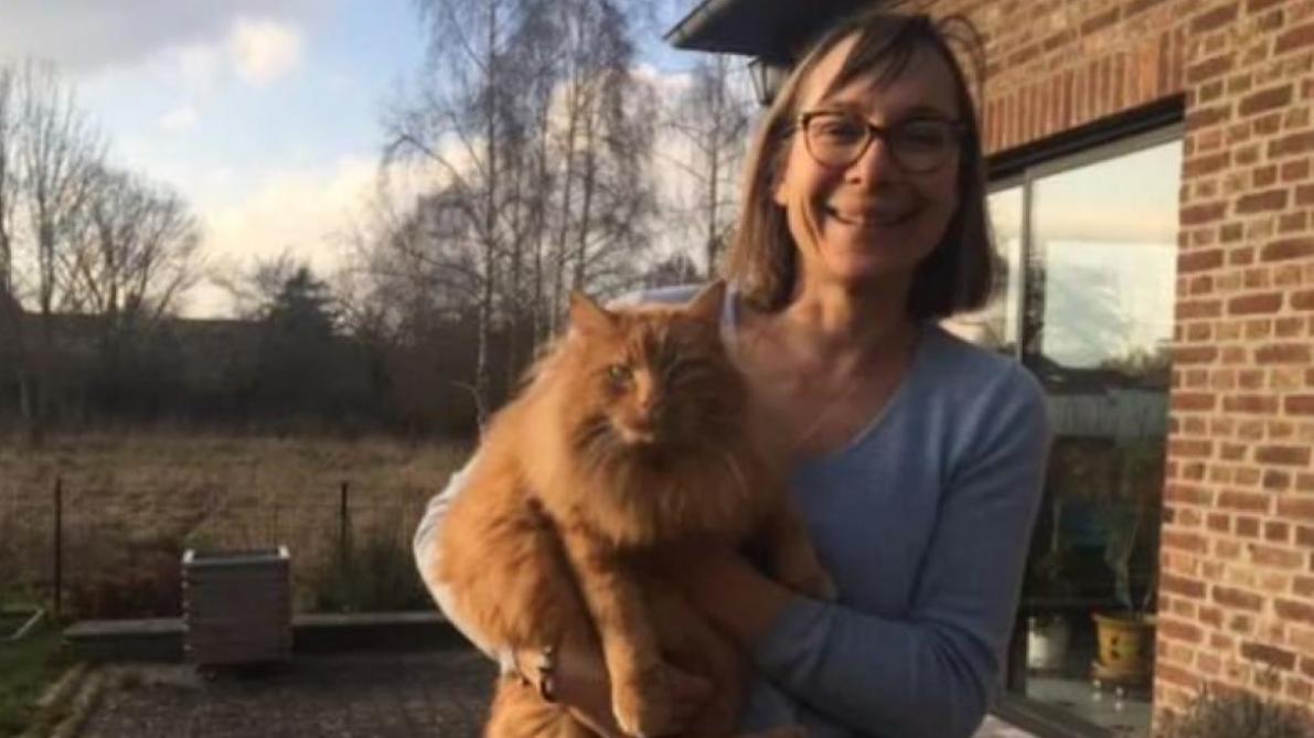 Un chat qui s'était égaré rentre chez lui en covoiturage — Nord Un chat qui s'était égaré rentre chez lui en covoiturage — Nord