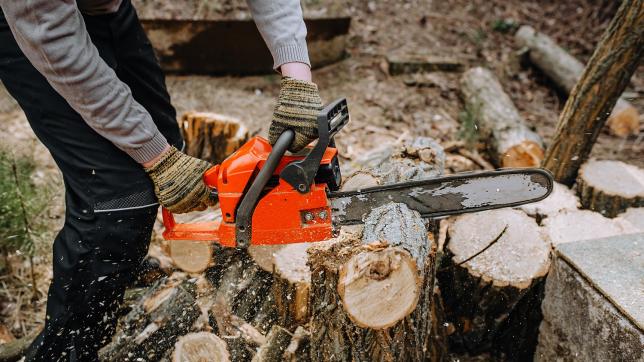 Comment bien s’équiper pour tronçonner un arbre ?