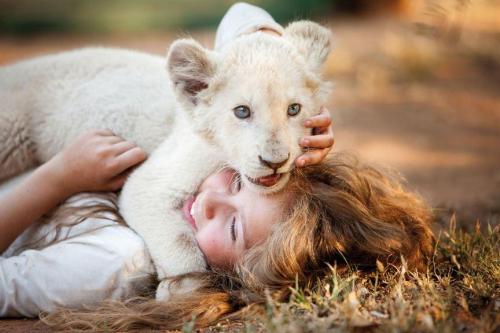Mia Et Le Lion Blanc Il Faut Sauver Le Lion Charlie