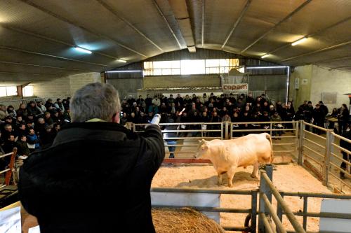 Video Aux Encheres De Sommepy Tahure Dans La Marne Un Jeune