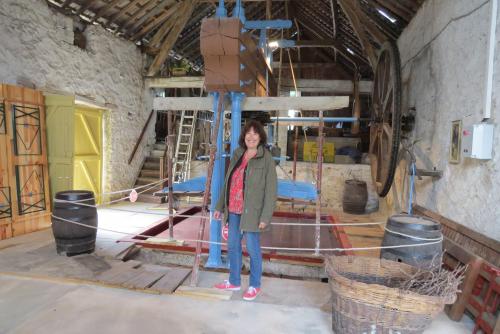 Un Ancien Pressoir En Cours De Restauration A Bethon