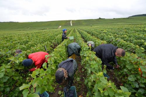 Plusieurs Departements Adoptent Le Cumul Salaire Et Rsa Pour