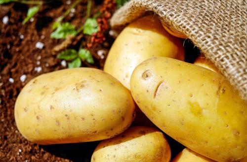 Prix Des Pommes De Terre En Tres Forte Hausse La Puree Bientot Un Luxe