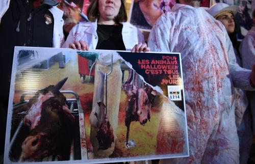 À Reims, L214 appelle les candidats aux municipales à s’engager pour les animaux - L'Union