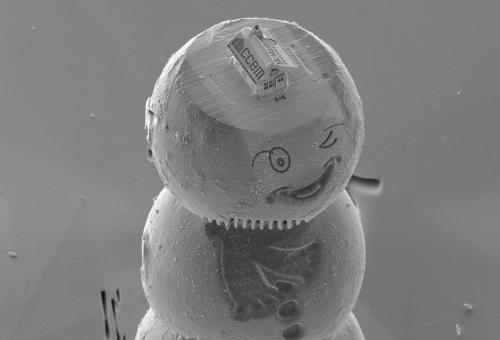 Decouvrez La Plus Petite Maison Du Monde Elle Ne Mesure Que 10 Microns