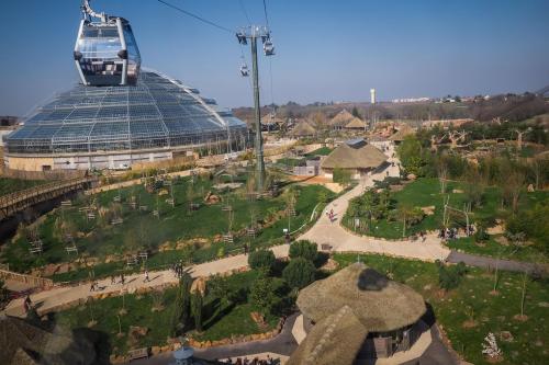 le zoo de beauval va rouvrir ses portes le 2 juin en format reduit