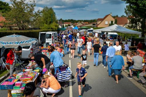 Les Organisateurs De Brocantes Du Secteur D Epernay Estiment Que Les Regles Sanitaires Du Covid Sont Trop Strictes