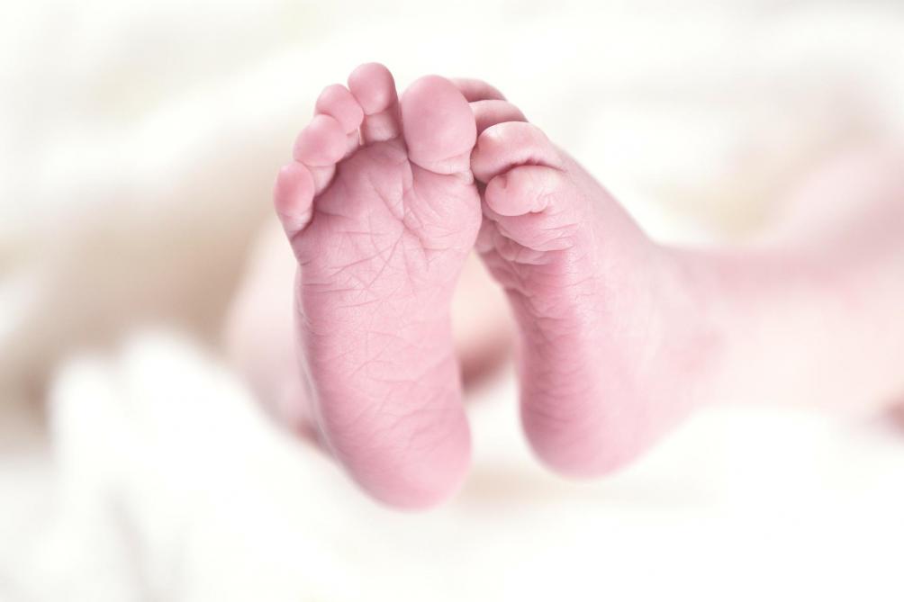 Reims Un Jeune Couple Abandonne Son Bebe Dans Le Jardin
