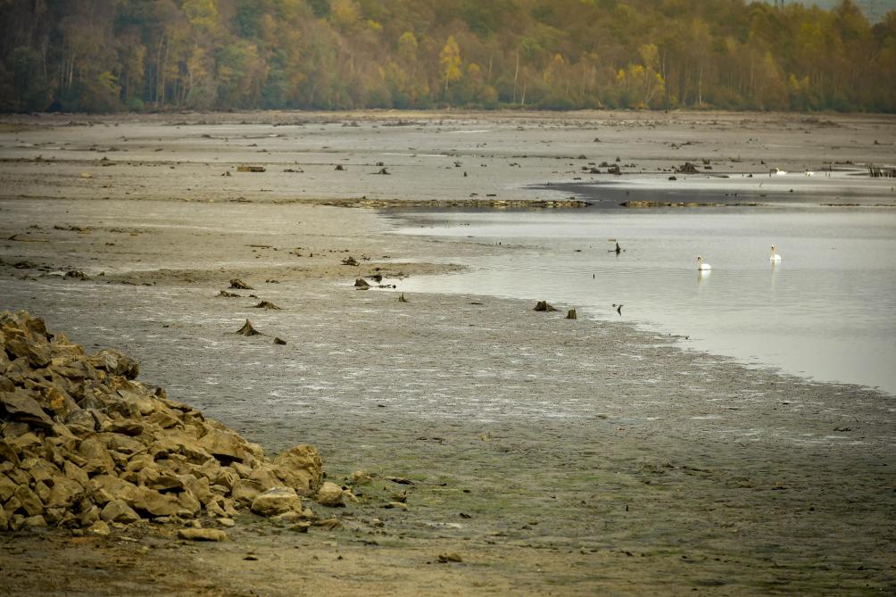 La Pêche Interdite Dans Le Lac Des Vieilles Forges à Sec