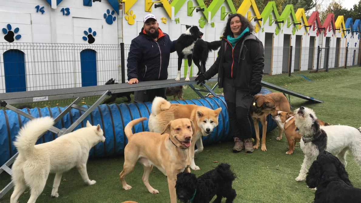 Photos Wouaf Wouaf Le Centre Aéré Pour Chiens Prend Du