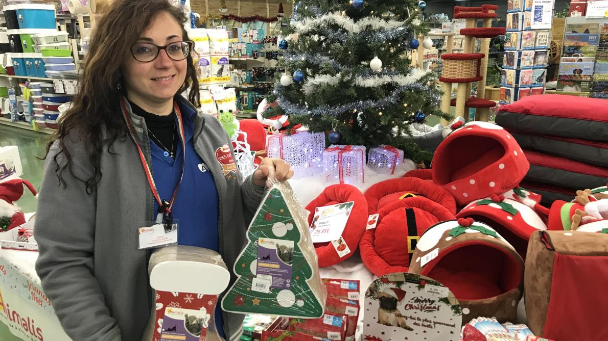 Video Remois Voici Nos Idees Cadeaux Pour Gater Votre Animal A Noel