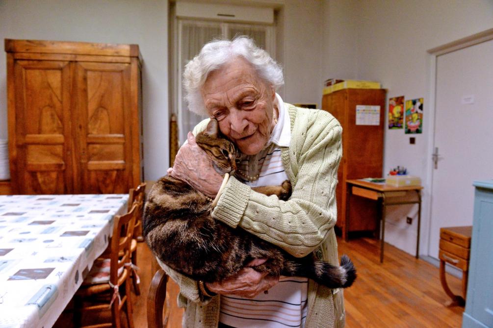 La Maison De Retraite Saint Martin A Reims Adopte Deux Chats