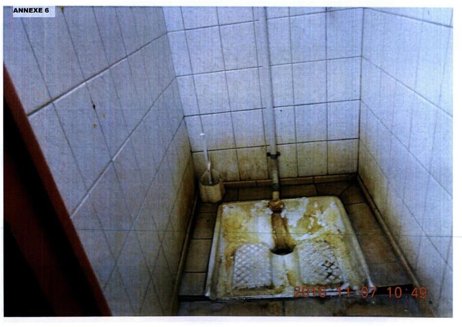 Esclavagisme Moderne A La Scierie De Sainte Menehould