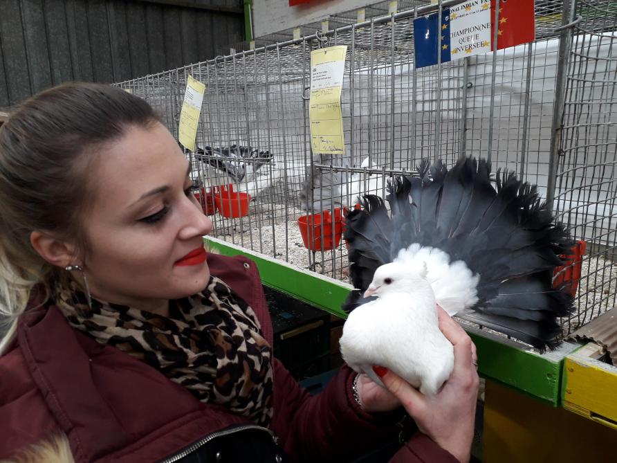 Angelique Marquise Des Pigeons De Bussy Lettree