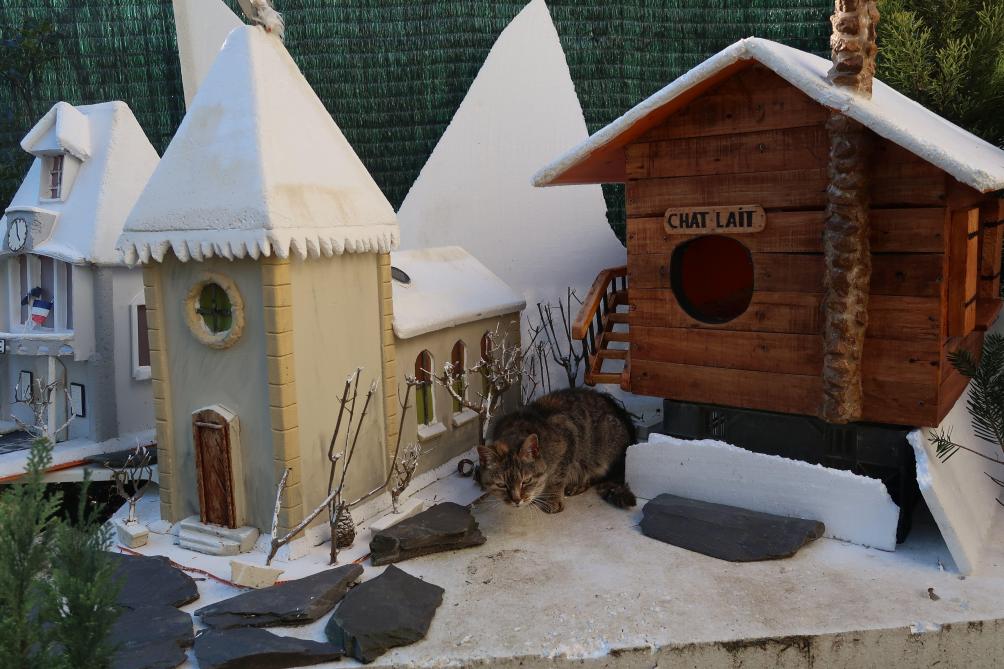 Photos A Sedan Un Village Miniature Pour Les Chats Errants Du Jardin Botanique