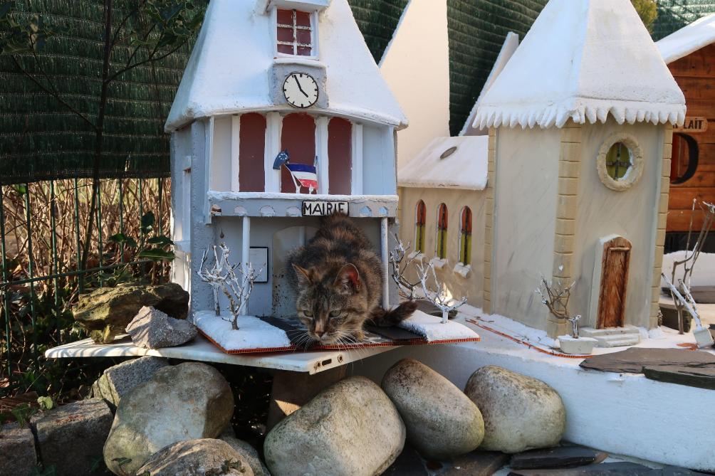 Photos A Sedan Un Village Miniature Pour Les Chats Errants Du Jardin Botanique Photos A Sedan Un Village Miniature Pour Les Chats Errants Du Jardin Botanique