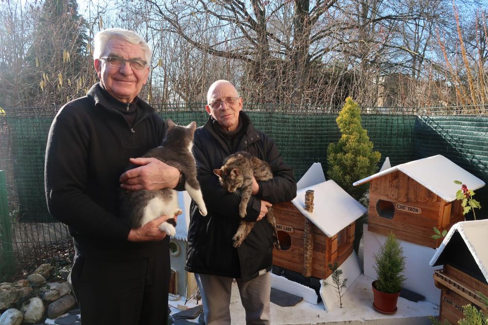 Photos A Sedan Un Village Miniature Pour Les Chats Errants Du Jardin Botanique Photos A Sedan Un Village Miniature Pour Les Chats Errants Du Jardin Botanique