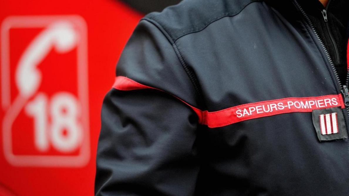 Le Chat Saute Par La Fenetre Et Meurt Etrangle A Fismes Le Chat Saute Par La Fenetre Et Meurt Etrangle A Fismes