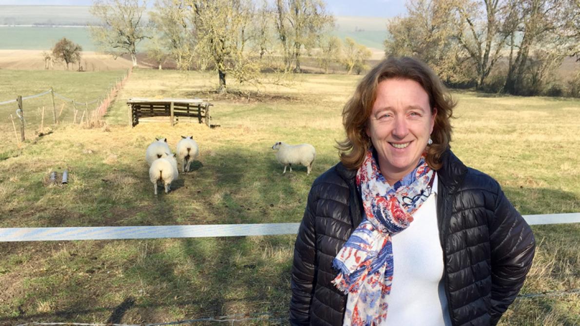 Statut Contraintes Fierte Les Agriculturices De Notre Region