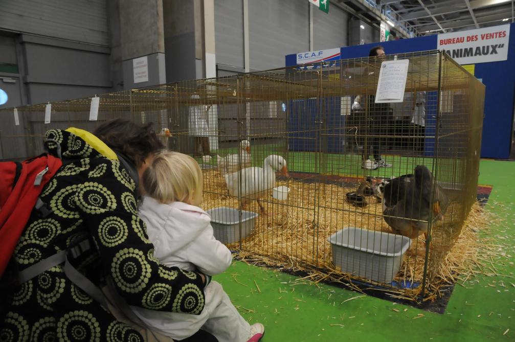 Et Si Vous Alliez Faire Un Tour Au Salon De L Agriculture