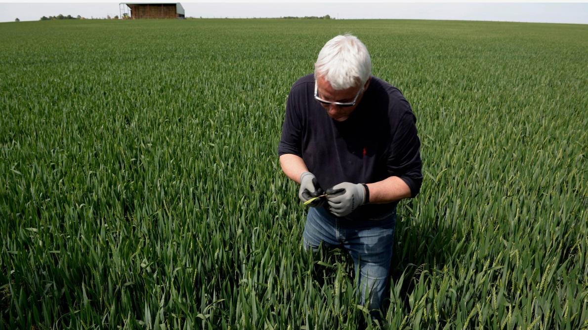 Des vols de produits phytosanitaires dans le Pays châlonnais