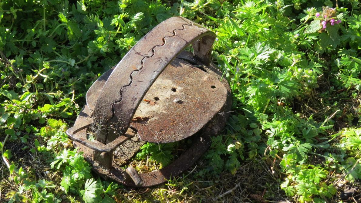 À Romilly, un jardinier dénonce la présence de pièges dont les