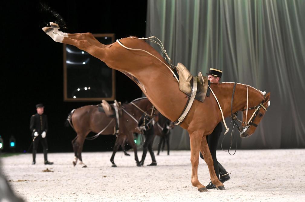 VIDEO Le Cadre noir monte sur ses grands chevaux au Millesium VIDEO Le Cadre noir monte sur ses grands chevaux au Millesium