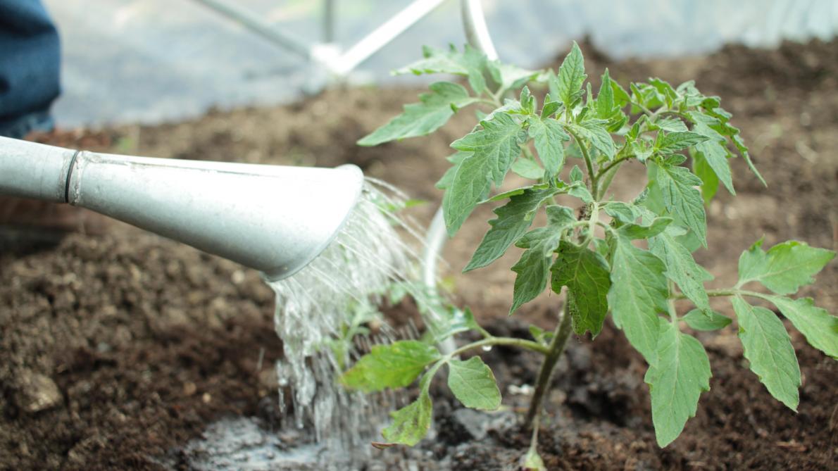 Avril Le Jardin Se Decouvre D Un Fil Journal L Union Abonne