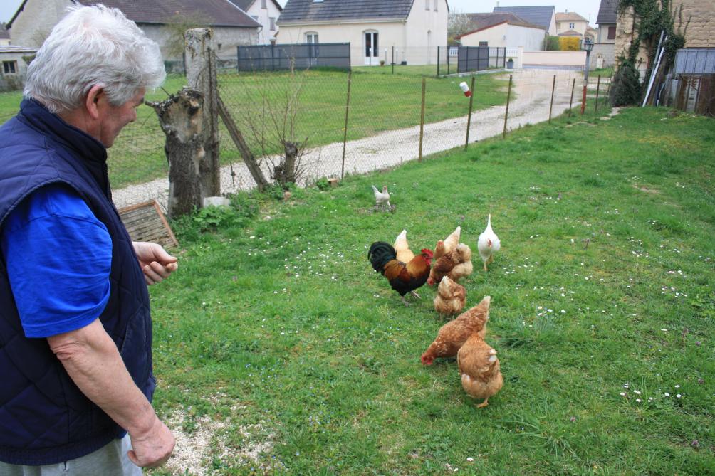 à Châlons Troquez Vos Déchets Contre Des œufs Frais Journal L