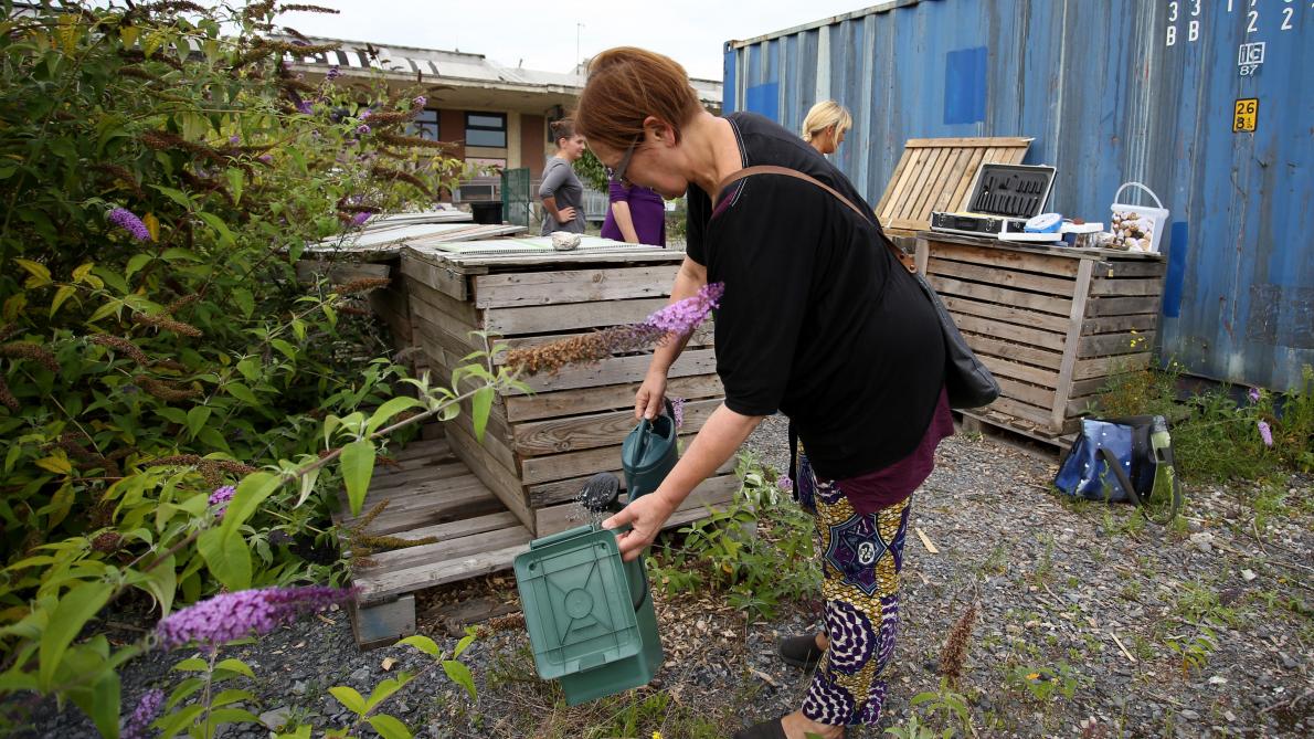 Comment Fabriquer Son Compost Et Le Reussir