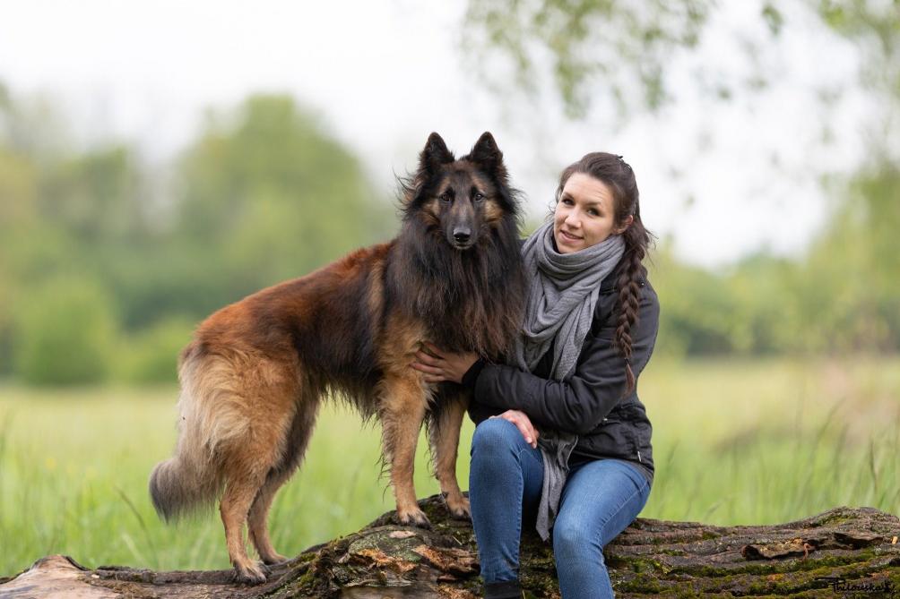 dressage chien romilly sur seine