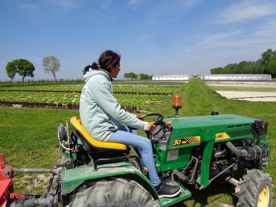 Au Jardin Gourmand De Saint Etienne Au Temple On Cueille Ses Fruits Et Ses Legumes De Saisons Soi Meme