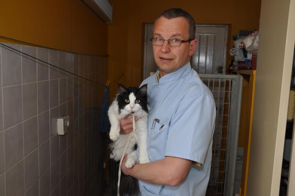 Comment Reduire Ses Depenses Veterinaires