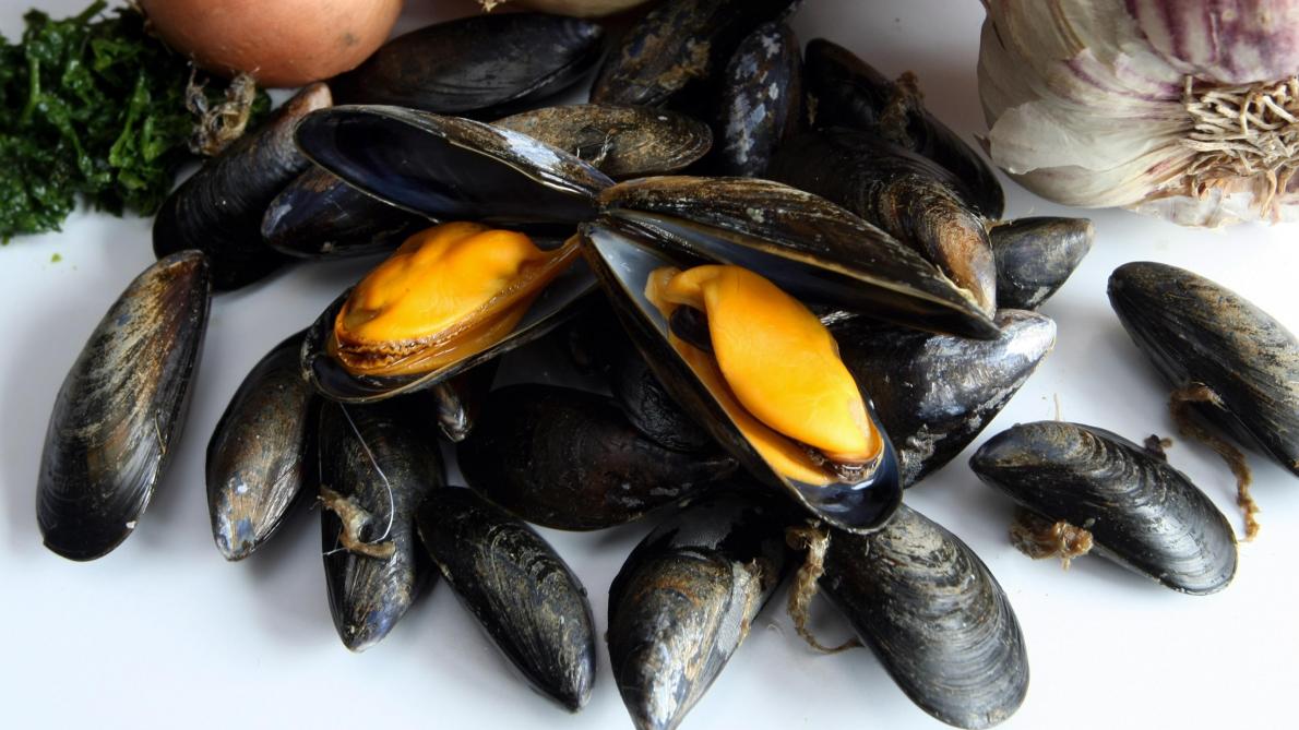 Rappel de moules contaminées par des toxines paralysantes Rappel de moules contaminées par des toxines paralysantes