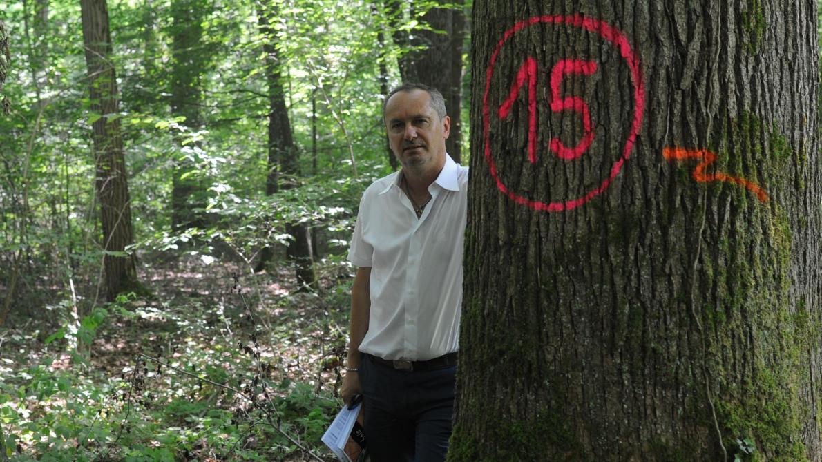 Des Prix En Hausse Pour Le Chene Aubois