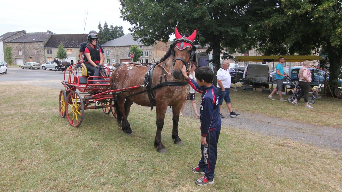 Combien D Employés Au Chateau De Versailles VIDEO-PHOTOS. Une fête du cheval bien en selle à Hargnies