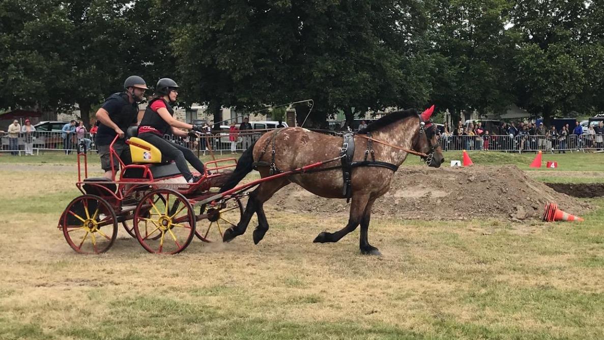 Combien D Employés Au Chateau De Versailles VIDEO-PHOTOS. Une fête du cheval bien en selle à Hargnies