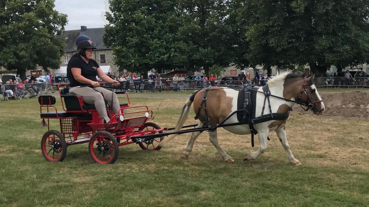 Combien D Employés Au Chateau De Versailles VIDEO-PHOTOS. Une fête du cheval bien en selle à Hargnies