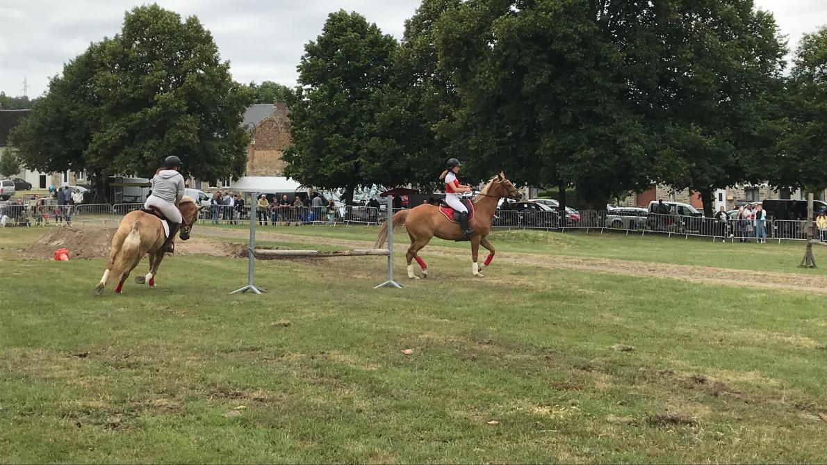 Combien D Employés Au Chateau De Versailles VIDEO-PHOTOS. Une fête du cheval bien en selle à Hargnies