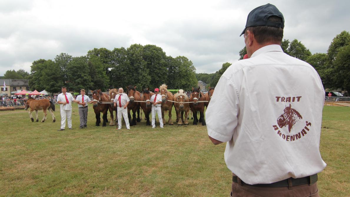 Combien D Employés Au Chateau De Versailles VIDEO-PHOTOS. Une fête du cheval bien en selle à Hargnies