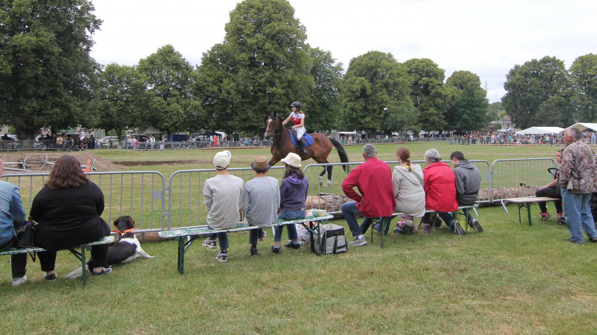 Combien D Employés Au Chateau De Versailles VIDEO-PHOTOS. Une fête du cheval bien en selle à Hargnies