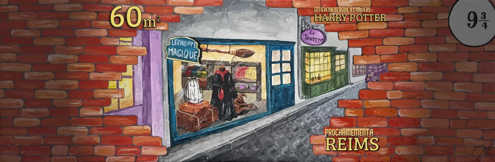 Une Boutique Harry Potter Ouvre A Versailles Les Gryffondors