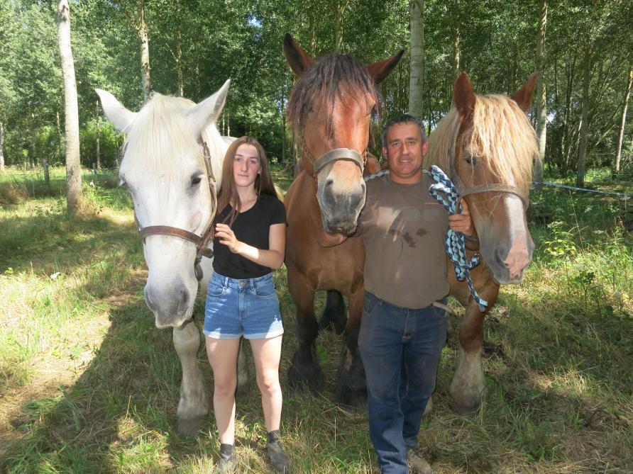 Un Dimanche Dedie Au Cheval De Trait Le 11 Aout A Gizy