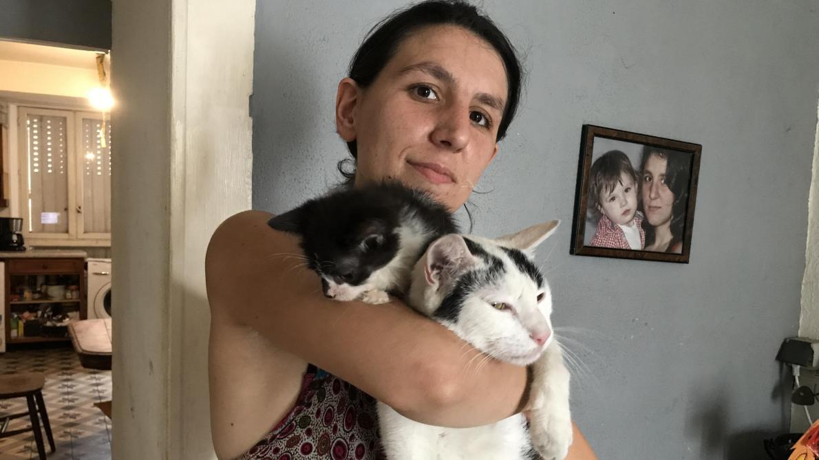 Une Petition Pour Interpeller Le Maire Sur La Sterilisation Des Chats Errants A Vouziers Une Petition Pour Interpeller Le Maire Sur La Sterilisation Des Chats Errants A Vouziers