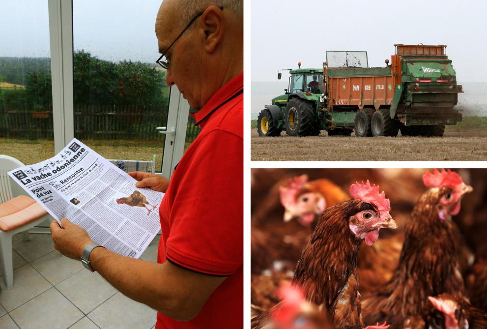 à Vallées En Champagne Beaucoup De Prudence Autour Des Poules