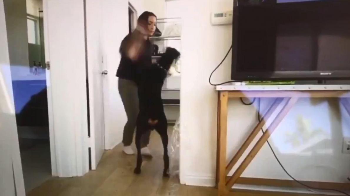 Une Youtubeuse violente son doberman et publie par erreur la vidéo - images Une Youtubeuse violente son doberman et publie par erreur la vidéo - images