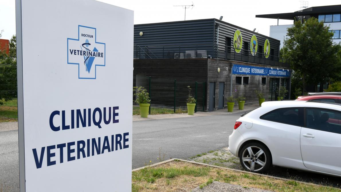 La Clinique Veterinaire De Bezannes Braquee A La Serpette