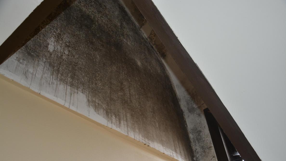 Problème D Humidité Dans Un Appartement L Humidite S Est Installee Dans Son Appartement De Sedan