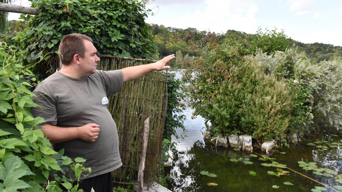 Hauts-de-France. La chasse aux gibiers d'eau ouvre ce ...